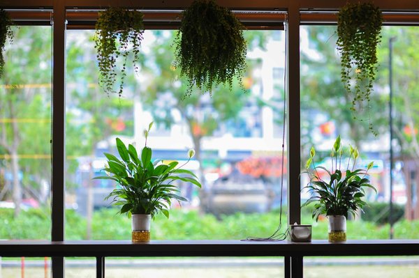 Optimisez votre gestion locative en 2024