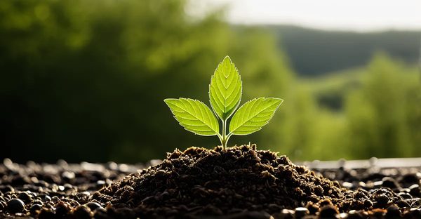 Solutions d'économie d'énergie : optimiser leur habitat durablement